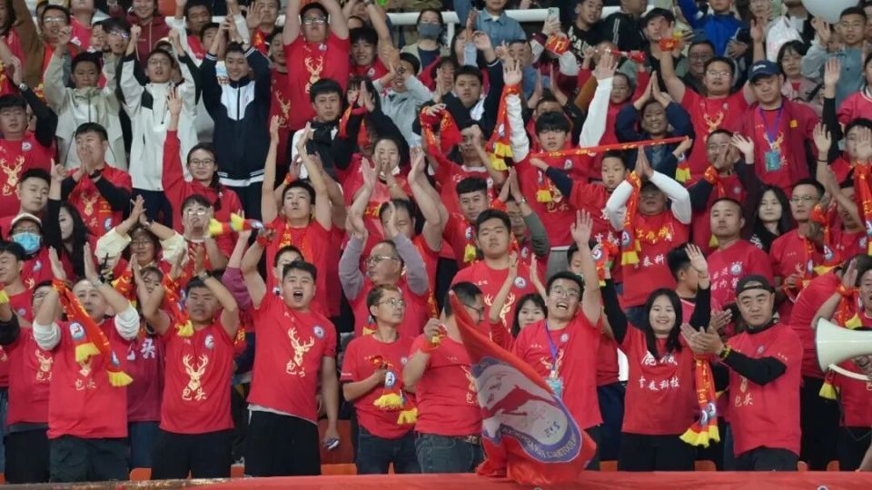 经济, 开赛以来, nT